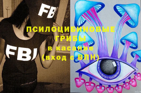мдма Новодвинск