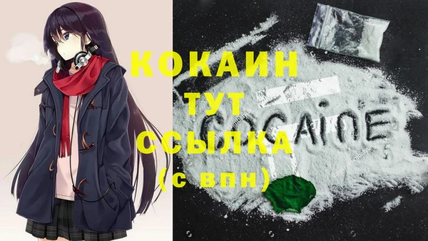 мдма Новодвинск