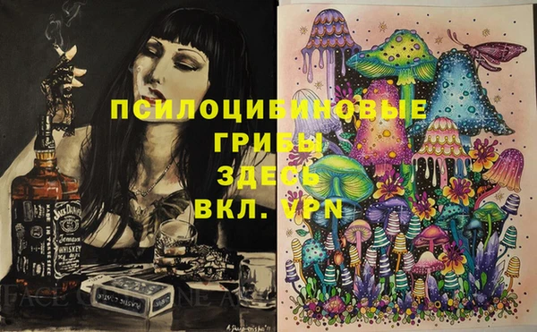 дмт Новозыбков