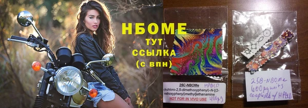 дмт Новозыбков