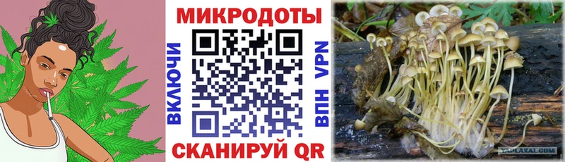 Галлюциногенные грибы MAGIC MUSHROOMS  omg ТОР  Уварово 