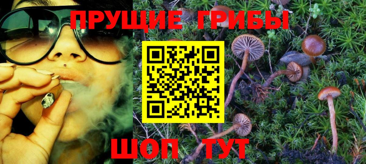 Галлюциногенные грибы прущие грибы Уварово