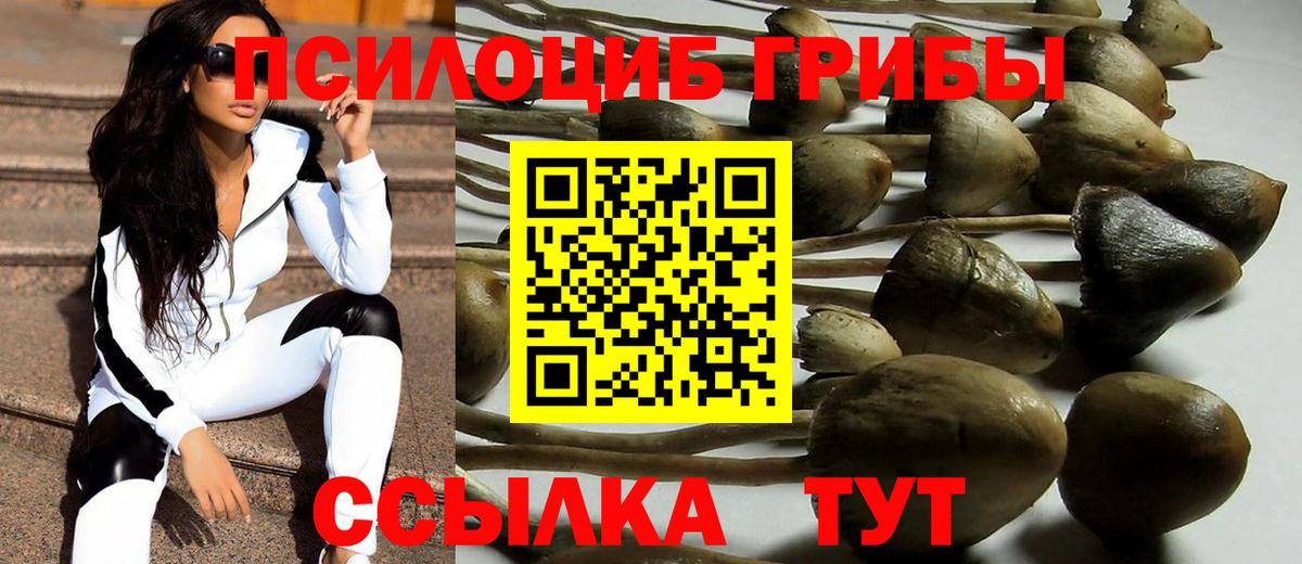 Галлюциногенные грибы прущие грибы  Уварово  Галлюциногенные грибы ЛСД 